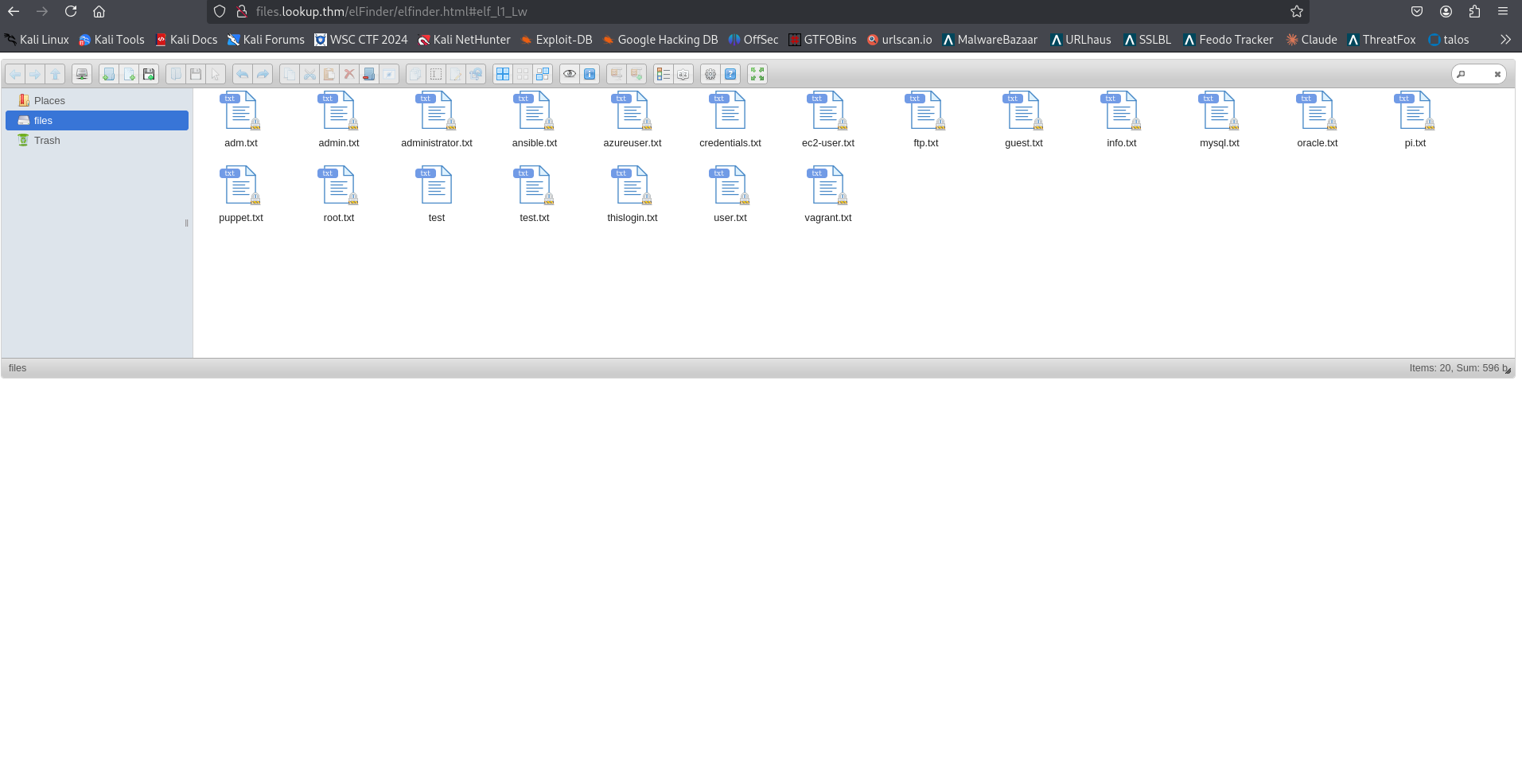 filesInLooup.png